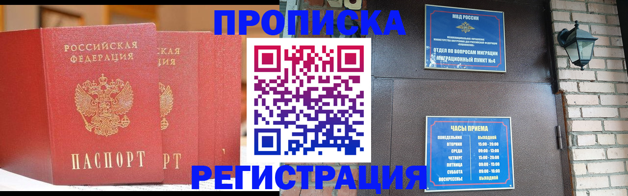 временная регистрация для всех в Никольском